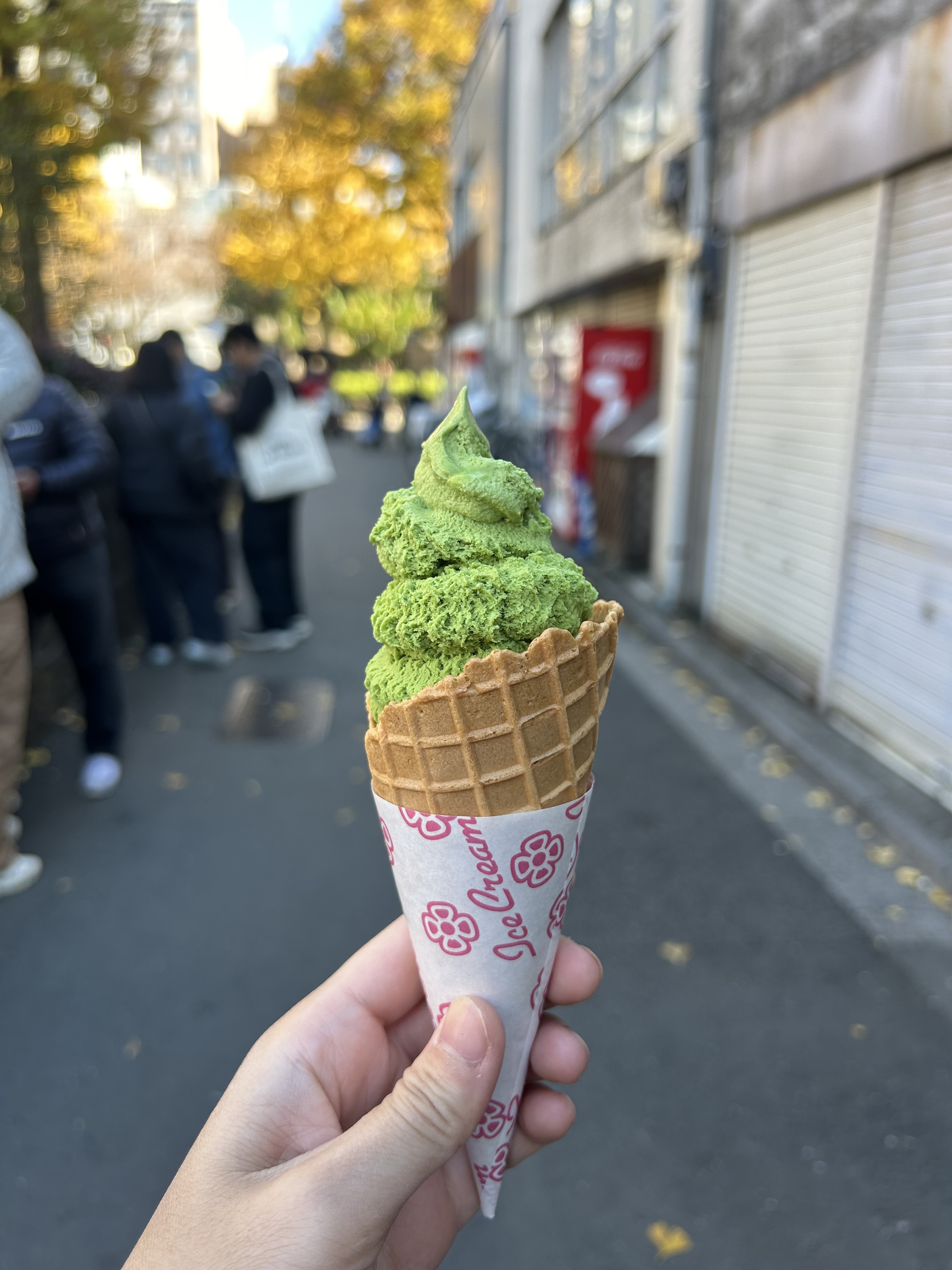 照片 5